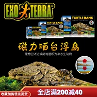 Xi Jin Reptile Pet Rain Forest Landscaping, симуляционные ресницы, Clamo, Palace Mane, ящик для размножения змей, зеленая растение декоративная черепаха спина