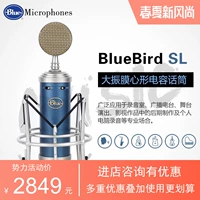 Paudi Licensed Blue Bluebird SL Blue Bird Микрофон с помощью микрофона Микрофон Бесплатная пленка.