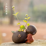 Boutique dễ thương màu tím cát nhỏ tu sĩ thú cưng có thể nâng cao đồ trang trí Sáng tạo văn hóa nước hoa trà đặt trang trí hoa nhỏ - Trà sứ