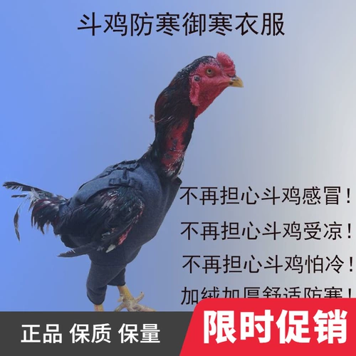 Борьба с куриной продукцией, борьба с курицей, борьба с курицей борьба с курицей курица Королевская одежда Thai Thaif