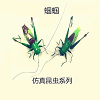 Моделирование насекомых 土 Глина