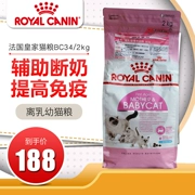 Tại chỗ! Pháp nhập khẩu thức ăn cho mèo cho con bú của Hoàng gia BC34 BK34 Bánh sữa cho mèo ăn thức ăn cho mèo 2kg - Cat Staples