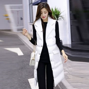 Áo khoác cotton nữ mùa đông 2019 mới Slim phiên bản Hàn Quốc của áo vest không tay mùa xuân và áo khoác dài mùa thu