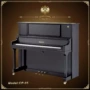 Royal Pin Basic Piano gốc Cao cấp Chơi Piano dọc Piano Chalbote Piano CP-05 casio cdp 120