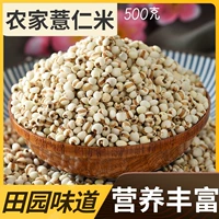 Ищу Bai Cao Новый груз Coix Sea Guix Guile Rice Rice Epicons Маленькие Рен Маленькие гранулы, ячмень, рисовые ядра, 500 граммов сушки