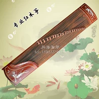 Bắc Kinh Xinghai 8812T-2 Nhạc cụ nhổ lông quốc gia Châu Phi chuyên nghiệp (Redwood) Guzheng sáo mèo kép