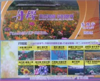 Shantou Danying Garden Group Visiting Voucher