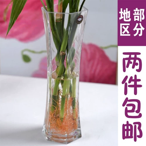 Современная простота стеклянная цветочная бутылка богатая бамбуковая лилия гидропоновое цветочное стекло прозрачное домашнее мебель