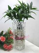 Bình thủy tinh thủy tinh dụng cụ IKEA * bình pha lê * cây thủy canh cho hoa thủy sinh - Vase / Bồn hoa & Kệ