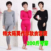 Kích thước lớn phương thức Qiuyi Qiuku của phụ nữ mỏng ấm phù hợp với chất béo MM mô hình cơ bản dưới đồ lót 200 kg mặc
