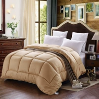 Đặc biệt quilt quilt khách sạn khách sạn là cored sinh viên ký túc xá chà nhám mùa đông là đôi duy nhất dày mùa xuân và mùa thu là 	chăn bông lông cừu