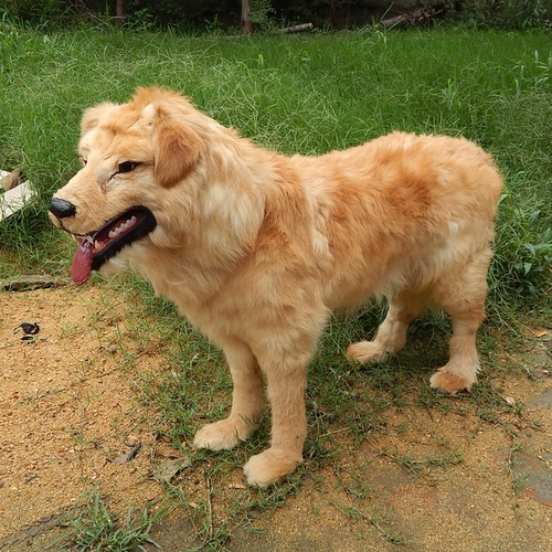 Моделирование модели модели собаки Золотая ретривера моделирование собак