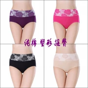 Quần lửng cạp cao cotton hoa mẫu đơn bụng hình tam giác quần short nữ hông gợi cảm