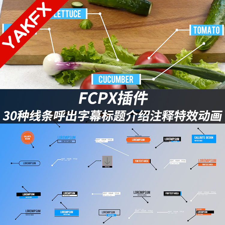 FCPX插件：30种线条呼出字幕标题介绍注释标签批注特效动画+教程callout pop-天天素材网