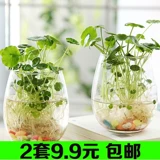 9,9 Юань 2 горшки из воды с корицей медь.