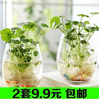 9,9 Юань 2 горшки из воды с корицей медь.