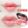 Sty Crystal Lips 6 Màu Giữ ​​Ẩm Môi Không Thấm Nước Lip Gloss Hồng Lip Gloss Khỏa Thân Ánh Sáng Màu Son Môi 	son bóng 3ce glass gloss review	