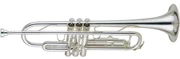 HRSD Walston Nhạc cụ Nhạc cụ nhỏ B-kèn phẳng Ống kèn ba giai điệu Tiền mặt khi giao hàng - Nhạc cụ phương Tây