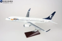39-47 cm Shandong Airlines Shandong Airlines Boeing 737 nhựa máy bay chở khách tĩnh máy bay mô hình mô hình mô phỏng thành phẩm xe mô hình tĩnh