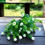 Mô phỏng nước hoa hồng nụ hoa nhựa nụ hoa bạch đàn cỏ trang trí nhà trưng bày nhà hàng phân vùng cỏ - Hoa nhân tạo / Cây / Trái cây