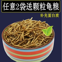 鍖呰 鍑 鍖呰 鍖呰 彛绾 彛绾 櫕 櫕 骞 骞 粍 粍 夎 櫕 櫕 熺 熺  浠 浠 浠 紶 鍏 泲 泲 楗 楗 枡楸 伯 伯 伯 熼 熼 熼 熼 熼 楗 枡楸 枡楸 伯 伯 熼 熼 熼 熼熼