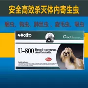 American Buddy U-800 dog dog diệt côn trùng chó tẩy giun mèo và chó diệt côn trùng mites hiệu quả cao - Cat / Dog Medical Supplies