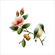 Nổi tiếng cổ thêu nghệ thuật thêu thêu kit tự làm người mới bắt đầu vẽ tranh trang trí thủ công với khâu hoa và chim 20 * 20CM