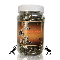 Yunnan Wild Black Ant Black Ant Powder Black Ant Dry Wenshan Black Ant 350 зерна/бутылка