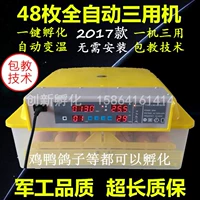Инкубатор с небольшим кастрюлем цена цена автоматически управляет коробкой для оболочки с двойной температурой с двойной тему