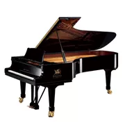 Sokarston, Vương quốc Anh SOKASTON "S5" Royal Collection Piano Professional Piano - dương cầm