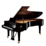 Sokarston, Vương quốc Anh SOKASTON "S5" Royal Collection Piano Professional Piano - dương cầm đàn piano cơ yamaha