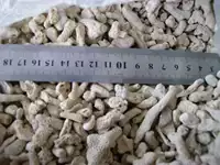 Натуральный коралловый коралловый песчаный камень 10 фунтов начинается 2 юаня на кожу