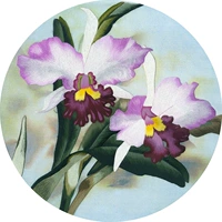 Su thêu thêu kit tự làm người mới bắt đầu vẽ tranh trang trí thủ công với khâu Iris hoa 35 * 35CM tranh thêu