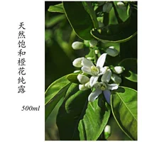Новые товары Bitter Orange Blossom Pure Dew Осветляющий тон кожи Устранение тускневого подавления свободного радикала 500 мл