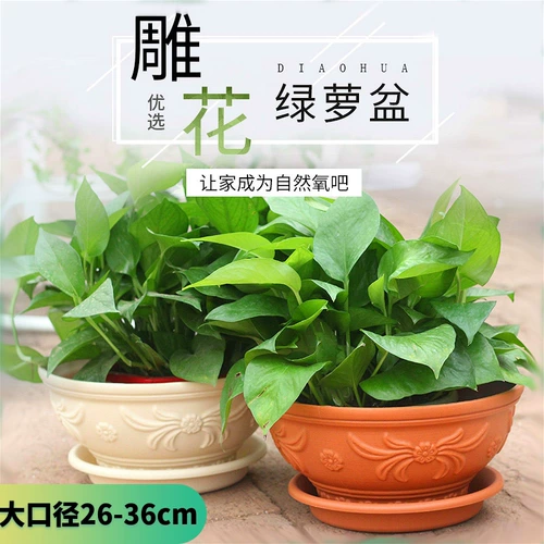 Алиса Цветочный горшок экстраординарный зеленый луо PP PP смола экологическая экологийская европейская в стиле цветочный горшок Цветочный зеленый растения открывают большой цветочный горшок