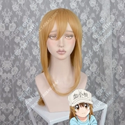 Làm việc tế bào tiểu cầu hai màu tùy chọn 70 cm tóc đuôi micro-khối lượng tóc thẳng hat cosplay tóc giả