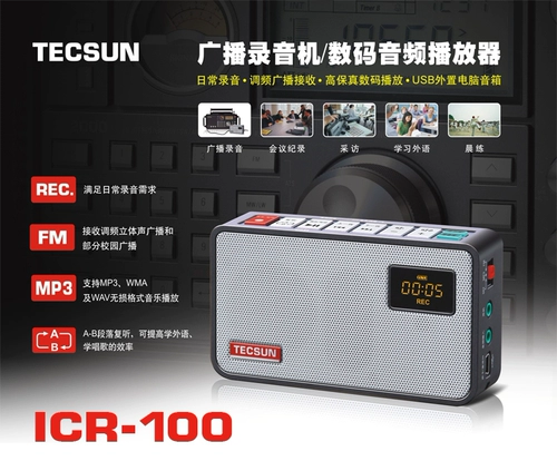 Desheng ICR-100 вещательный регистратор/цифровой аудиоплеер