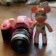Розовая камера+насильственный медведь