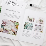Zakka Englar Magazine Альбом Creative Travel Item Cosmetics Photograph