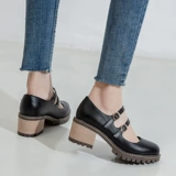 Ретро универсальная студенческая юбка в складку в английском стиле на платформе, туфли на высоком каблуке, осенняя