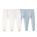 Liying quần áo trẻ em mùa xuân mềm mại cho bé trai quần cotton 2 tải 2019 mới - Quần áo lót Quần áo lót