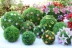 Mô phỏng cây nhựa đậu phộng bóng phòng khách hoa giả trong nhà cỏ bóng trần trung tâm mua sắm trang trí đám cưới - Hoa nhân tạo / Cây / Trái cây