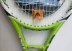 HEAD Hyde Logo Vợt tennis giảm xóc vợt tennis giảm xóc vợt tennis phổ nền trong suốt