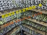 Дубийский таракан