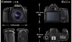 Canon 80D kit (18-135mmSTM) 18-200mm SLR kỹ thuật số chuyên nghiệp máy ảnh HD SLR kỹ thuật số chuyên nghiệp
