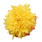 Садовые пожарные садовые волны Хайди вертикальные розовые цветы странное многосезонное цветение, устойчивые к болезням рассаду