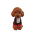 Mô phỏng Teddy Dog Doll Đồ chơi sang trọng VIP Dog Doll Ragdo Dễ thương Gối Quà tặng Cô gái - Đồ chơi mềm đồ chơi bác sĩ cho bé Đồ chơi mềm