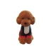 Mô phỏng Teddy Dog Doll Đồ chơi sang trọng VIP Dog Doll Ragdo Dễ thương Gối Quà tặng Cô gái - Đồ chơi mềm