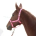 Cưỡi ngựa thể thao ngựa dây cương dệt dây ngựa dẫn huỳnh quang màu xanh lá cây ngựa được trang bị với tám chân rồng ngựa