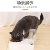 Собачья горшка чаша для кошачья чаша двойная чаша автоматическая питьевая вода для питания горшок для кошачья чаша кошка вода вода Антиочищенная рисовая чаша для животных питомцы